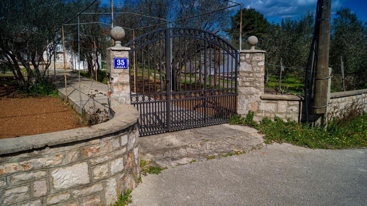 Villa Vecchia Oliva,Kuljica à Kukljica Extérieur photo
