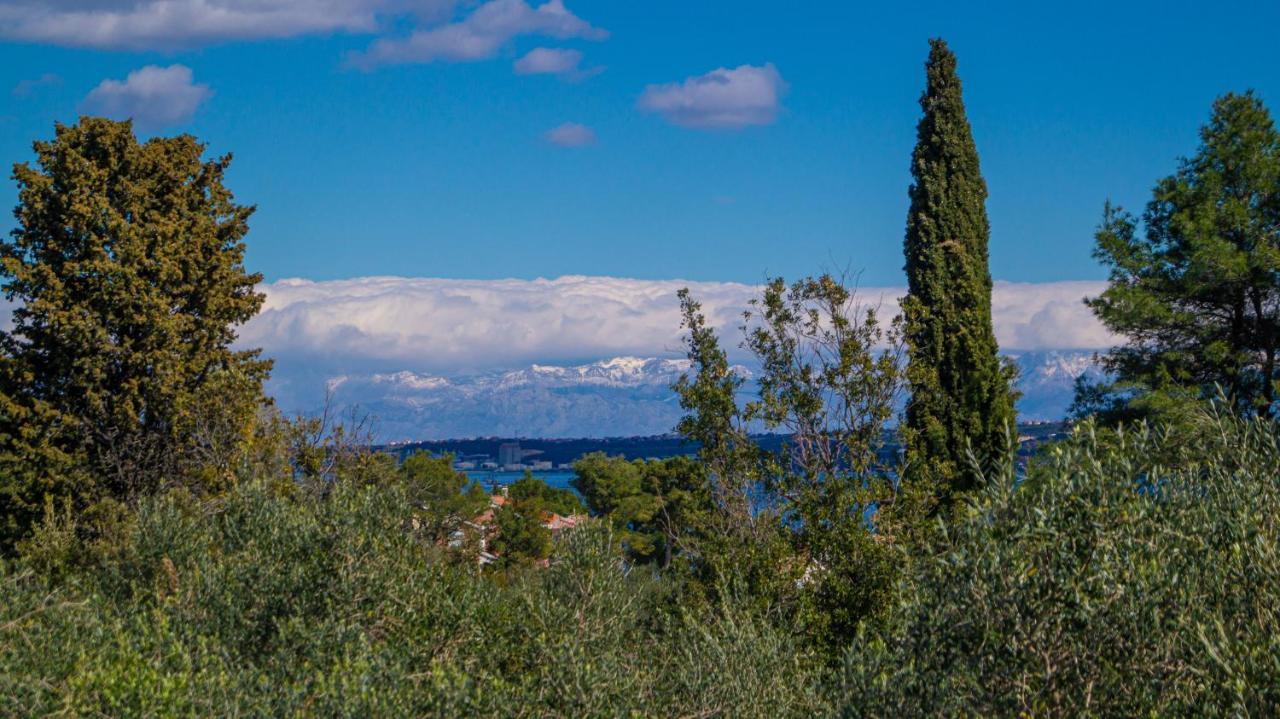 Villa Vecchia Oliva,Kuljica à Kukljica Extérieur photo