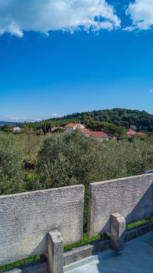 Villa Vecchia Oliva,Kuljica à Kukljica Extérieur photo