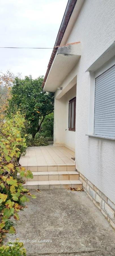 Villa Vecchia Oliva,Kuljica à Kukljica Extérieur photo